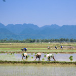 ninh binh