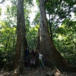 National park Cuc Phuong