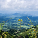 ho chi minh trail